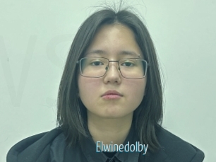 Elwinedolby