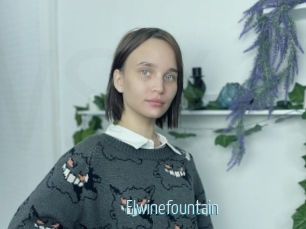 Elwinefountain