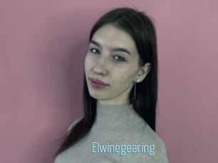 Elwinegearing