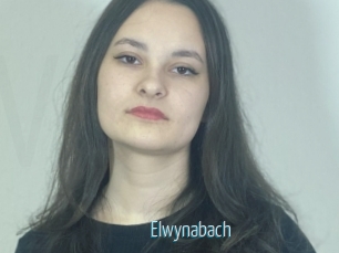 Elwynabach