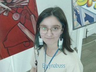 Elwynabuss