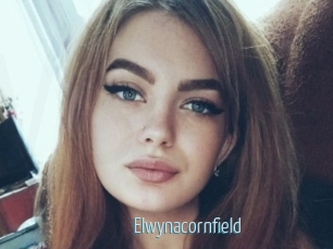 Elwynacornfield