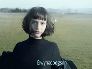 Elwynadodgson
