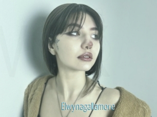 Elwynagallamore