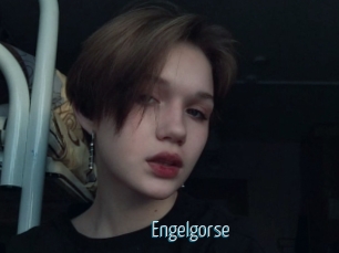 Engelgorse