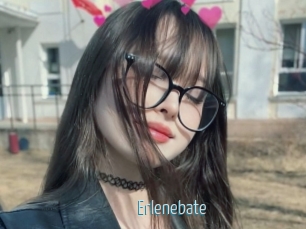 Erlenebate