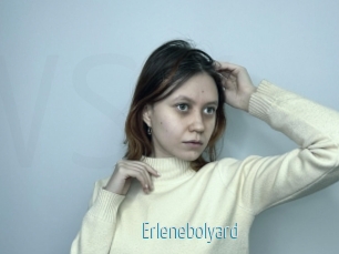 Erlenebolyard