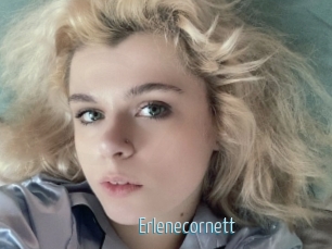 Erlenecornett