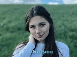 Erlenegomer
