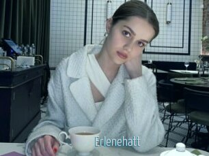 Erlenehatt