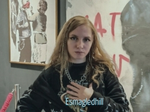 Esmagledhill