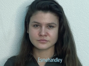 Esmehandley