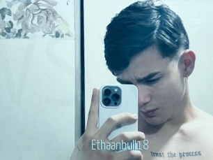 ethaanbull18 Video Sexe
