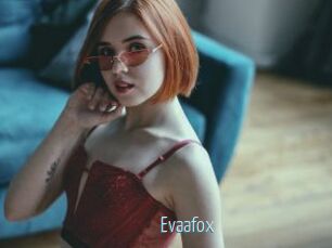 Evaafox