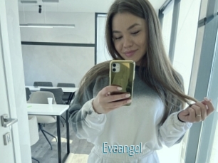 Evaangel