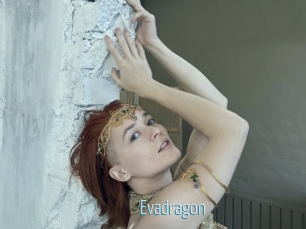 Evadragon