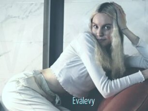 Evalevy