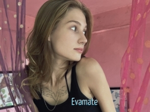 Evamate