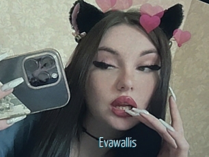 Evawallis
