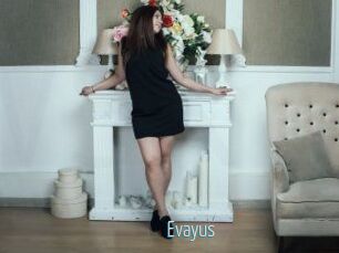 Evayus