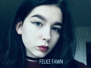 FELICE_FAWN
