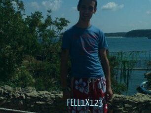 FELL1X123