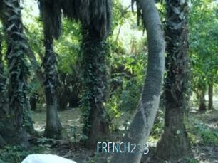 FRENCH213