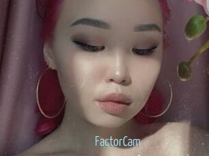 FactorCam