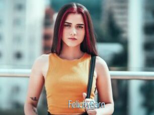 FelicityBarn
