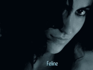 Feline