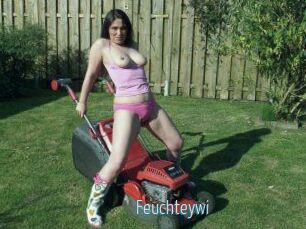 Feuchteywi