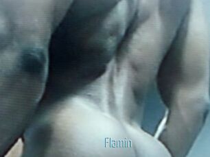 Flamin