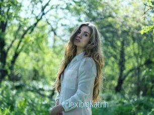 FlexibleKatrin