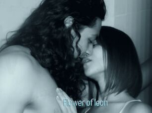 Flower_of_leon