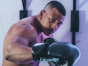 Falcon_hot