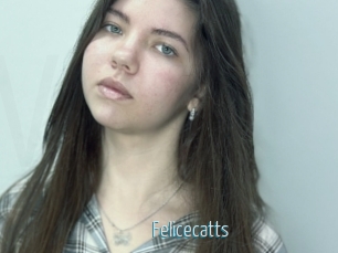 Felicecatts