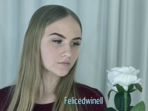 Felicedwinell