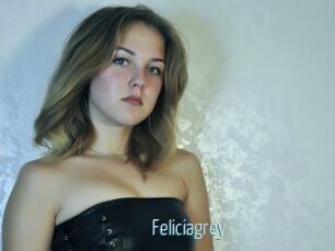 Feliciagrey