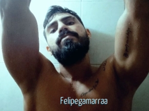 Felipegamarraa