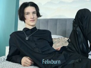 Felixburn