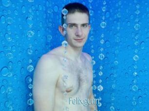 Felixgunn