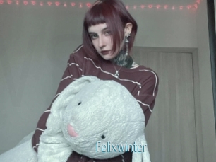Felixwinter