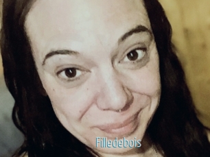 Filledebois