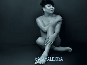 GATAMALICIOSA