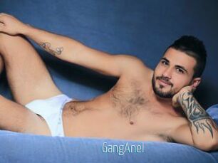 GangAnel
