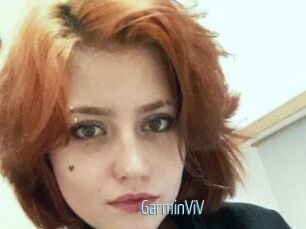 GarminViV