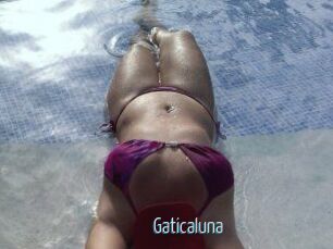 Gaticaluna