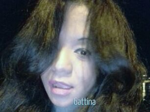 Gattina