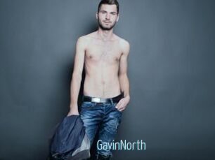 GavinNorth