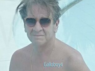 Galloboy4